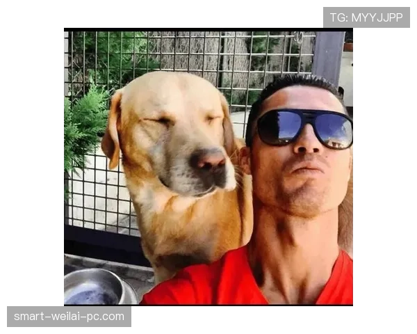 C罗家里那只狗戴的项圈怕不是比我整套家当还贵