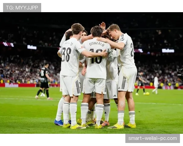 巴尔韦德与贝林厄姆：皇马中场双核的战术分工与数据表现差异