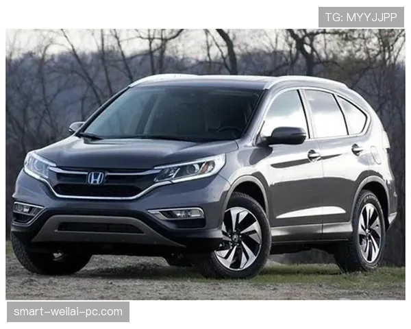 恩佐高价转会是否透支了其实际价值？