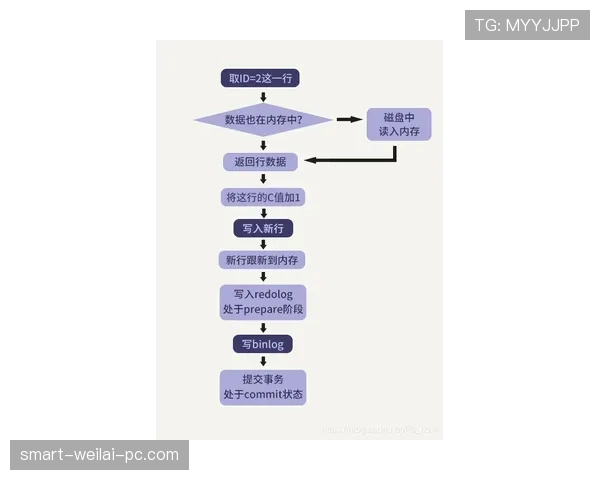 界外球规则的判定流程与执行细节解析