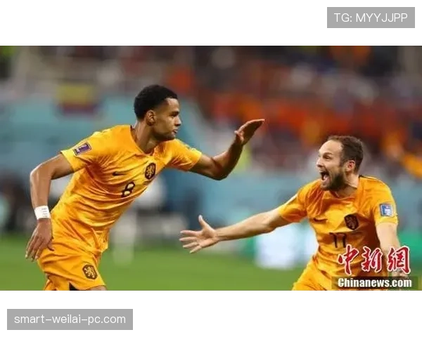 世界杯K组赛程安排及焦点大战盘点